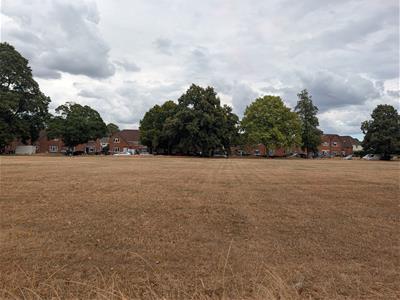 Picture 22